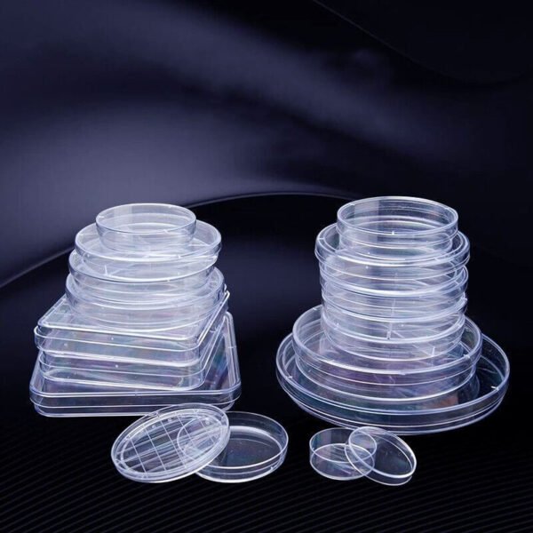 Disposable plastic petri dishes, 35mm to 150mm, sterile for laboratory use.