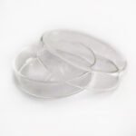 Glass Petri Dishes for Cell Culture and Plant Experiments - Image 3