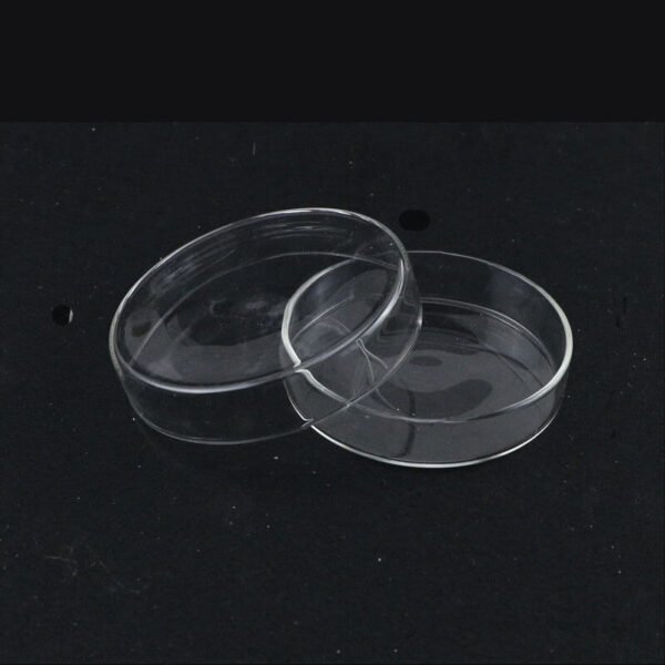 Glass petri dishes in various sizes for laboratory cell culture